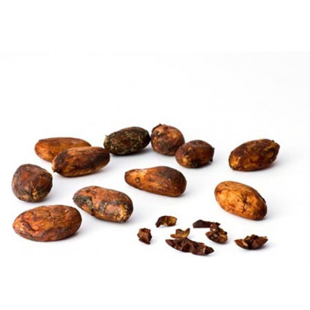 Kakaobönor. Porcelana. Venezuela. 500g