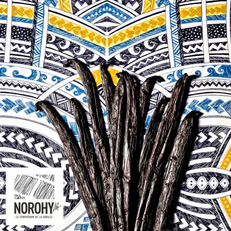 Vaniljstång Tahiti Tahaa av Norohy. Ekologisk, 10g i glasrör